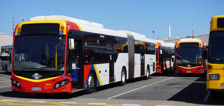 Adelaide Metro articulated buses | australia.SHOWBUS.com BUS IMAGE GALLERY