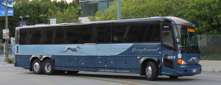 SHOWBUS International BUS IMAGE GALLERY | USA | Greyhound