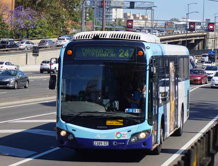 Sydney Buses - australia.SHOWBUS.com BUS IMAGE GALLERY