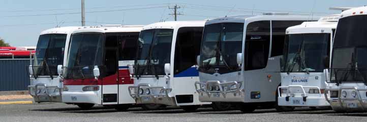 Sunraysia Bus Lines | australia.SHOWBUS.com BUS IMAGE GALLERY