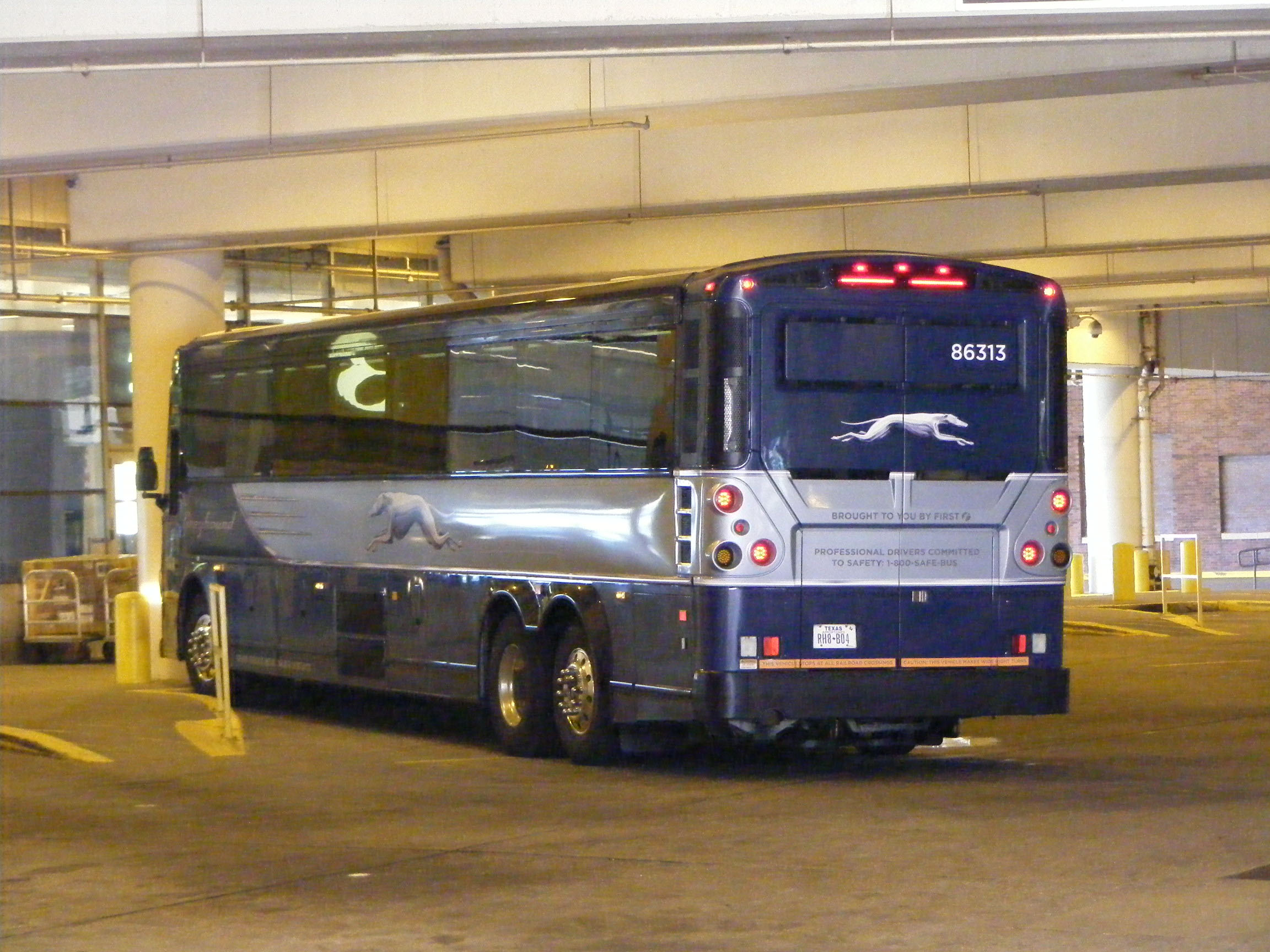 SHOWBUS International BUS IMAGE GALLERY | USA | Greyhound