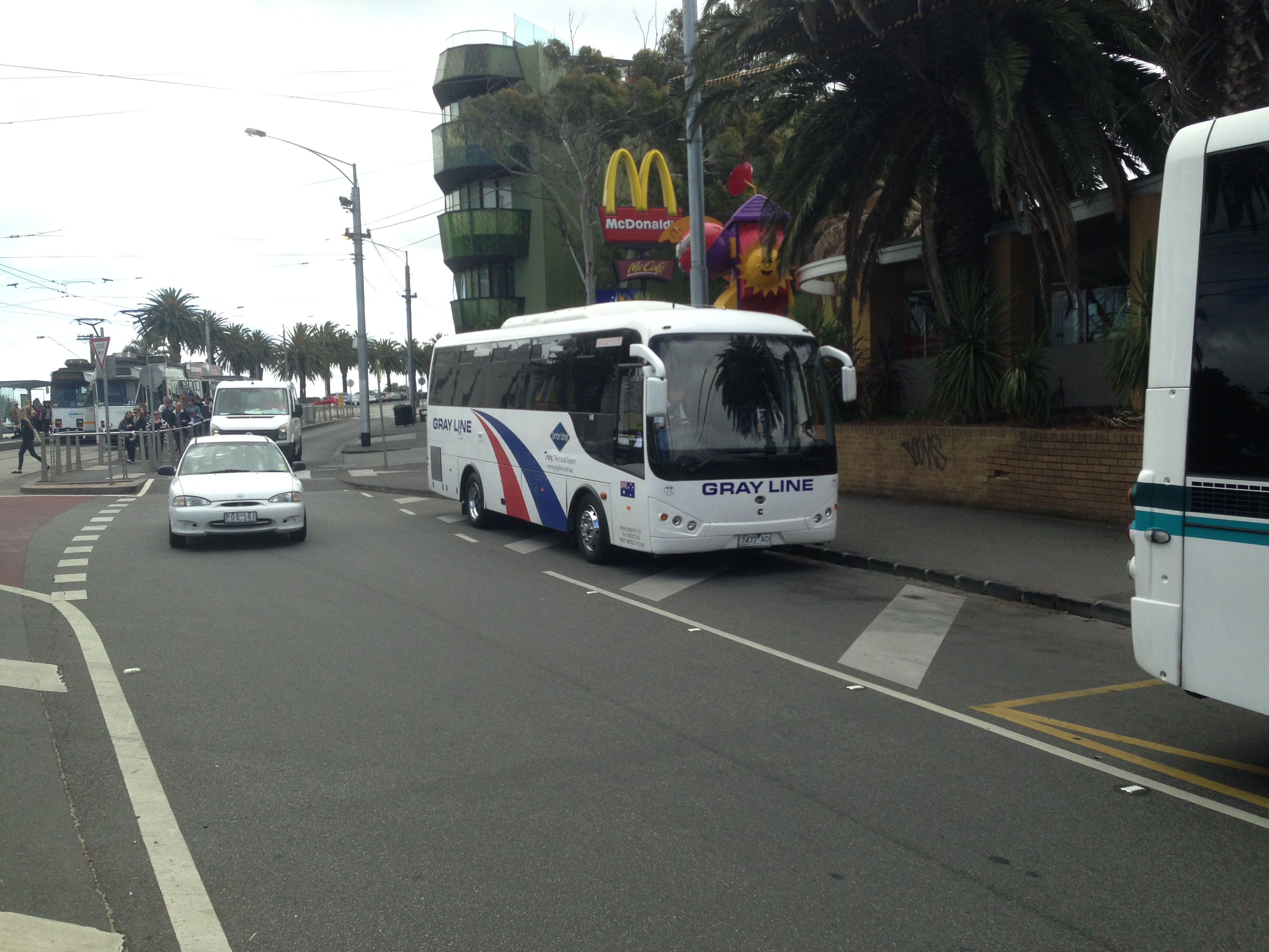 Driver Bus Lines | Gray Line | australia.SHOWBUS.com BUS IMAGE GALLERY