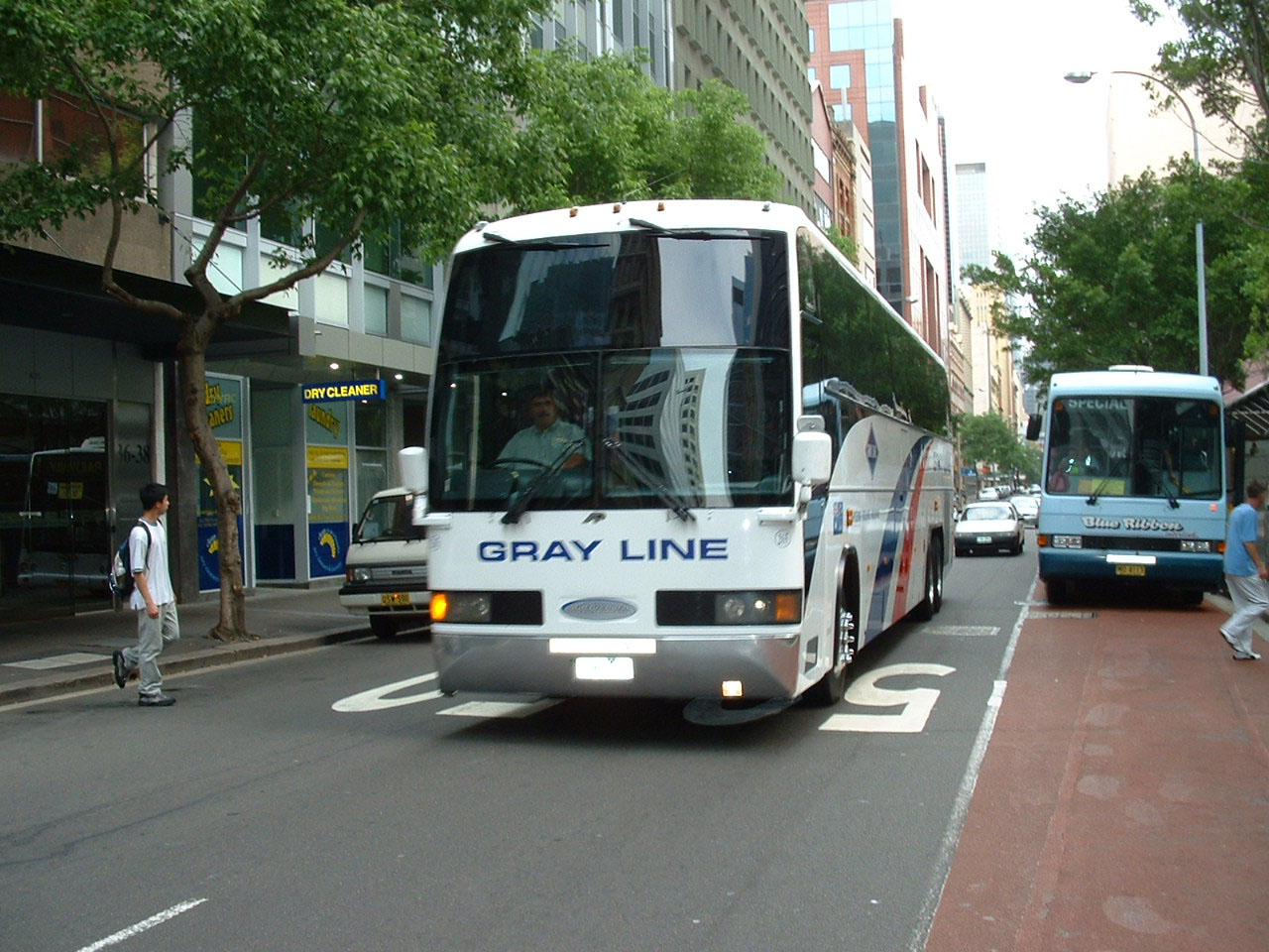 grayline bus tours sydney