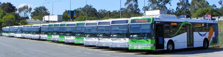 Logan City Bus Service | australia.SHOWBUS.com BUS IMAGE GALLERY